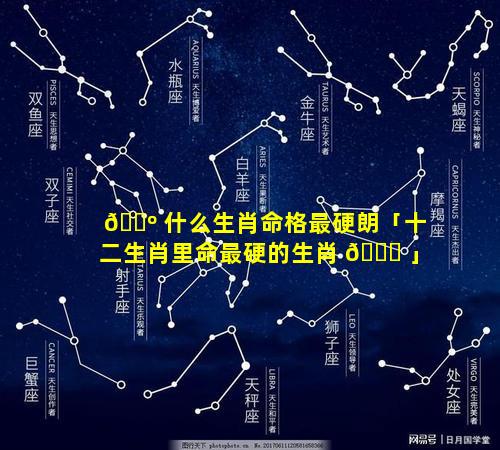 🌺 什么生肖命格最硬朗「十二生肖里命最硬的生肖 🍁 」
